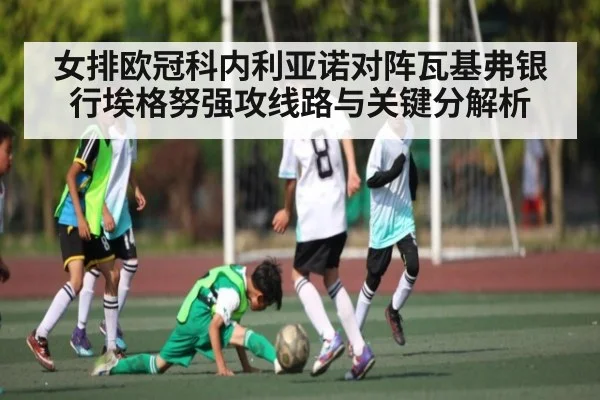 女排欧冠科内利亚诺对阵瓦基弗银行埃格努强攻线路与关键分解析